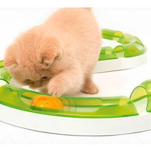 Pelota Juguete Interactivo Gato Catit Play Circuit