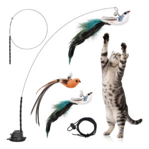 Juguetes Interactivos Para Gatos 5 Piezas Con Pajaritos Vola Negro