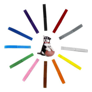 Collares De Identificación Para Cachorros Y Gatitos 12 Pieza 12 Nombre Del Diseño Tamaño Del Collar