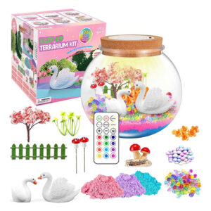 Kit De Terrario Iluminado Para Niños 13 Colores Luces Led