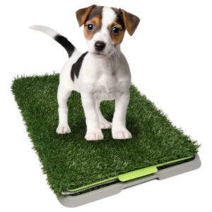 Tapete Entrenador Antimicrobiano Para Perros 1 Pieza 2 Kg Varios