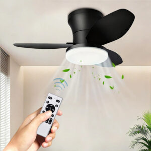 Ventilador De Techo Moderno Con Luz Y Control Remoto 66 Cm 0 Mm Frecuencia Color De La Estructura Color De Las Aspas Material De Las Aspas 0