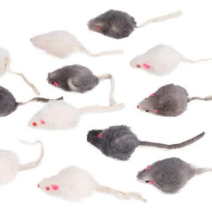Ratón De Juguete Para Gatos 12 Piezas Suaves Y Divertidos Color