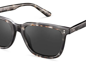 Gafas De Sol Polarizadas Hombre Protección Uv400 Estilo Retr Diseño 8: Montura Tortuga Gris + Lente Gris Gris Color Del Armazón Color De La Varilla