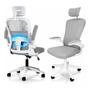 Silla De Oficina Ergonómica Reclinable Soporte Lumbar Ajusta