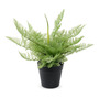 Helecho Artificial En Maceta Negra 33 Cm Planta Decorativa I Pa-003