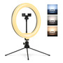 Aro De Luz Profesional 10 Pulgadas Led Recargable Para Fotos Color De La Estructura Color De La Luz