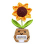 Muñeca De Ganchillo Girasol Con Tarjeta Inspiracional