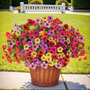 Flores Artificiales Decorativas Para Interior Y Exterior 12 Colorido