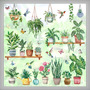 Calcomanía Decorativa Para Ventana Plantas Macetas Flores Tr Multi