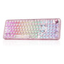 Teclado Mecánico Inalámbrico 96 Teclas Retroiluminado Rgb Ro Color Del Teclado Inglés