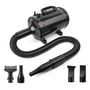 Secador Para Perros 2000w Potente Con 4 Boquillas Ajustables Negro