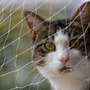 Malla De Nylon Translucida Para Gatos 4x3 M Seguridad Balcón Transparente
