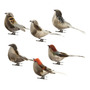 Figuras De Pájaros Pequeños Con Plumas Artificiales 6 Piezas