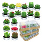 Set De 18 Velas Suculentas Decorativas Verdes Sin Humo
