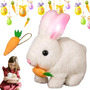 Genérico Conejo De Peluche Realista Interactivo, Juguete De Blanco