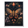 Póster Pared Polillas Mariposas Decorativo Bohemio Gótico 41