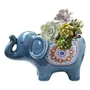Maceta De Cerámica Elefante Azul Para Plantas Decorativa 11