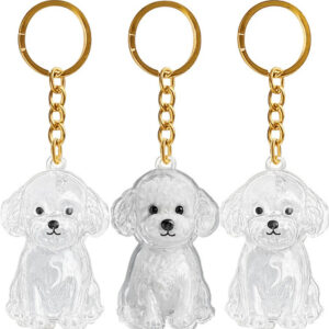 Llavero Transparente Para Guardar Pelo De Perro Set De 3 Uni