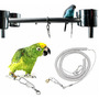 Cuerda Voladora Para Loros Y Pájaros De Acero Inoxidable 6 M