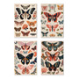Juego 4 Impresiones Mariposas Bohemias Flores Arte Pared Can