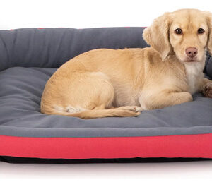Cama Para Perro Rectangular Suave E Impermeable Color Fucsia Fiusha
