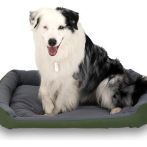 Cama Para Perro Grande Resistente Y Confortable Color Verde Verde