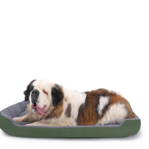 Cama Para Perro Xxl Resistente Confortable Color Verde 120x9 Verde