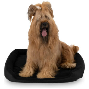 Cama Para Perro Resistente Y Confortable Color Negro 100x84 Negro