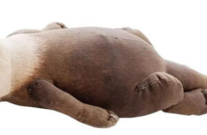 Cojín Reposamuñecas Nutria Felpa Estuche Lápices 40 Cm