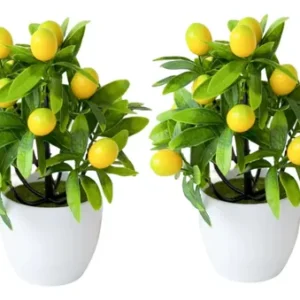 Limoneros Artificiales En Maceta Blanca Decoración Para Hoga