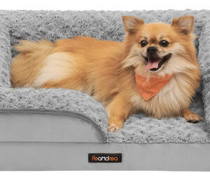 Cama Ortopédica Para Perros Pequeños 71 X 58 X 16 Cm Gris Gris Paloma Diseño