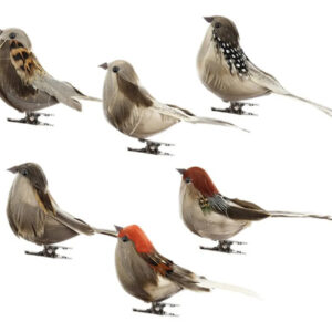 Figuras De Pájaros Pequeños Con Plumas Artificiales 6 Piezas