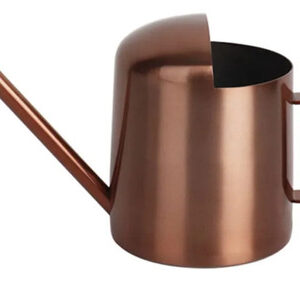 Regadera Mini De Acero Inoxidable Para Bonsáis Y Plantas 201
