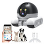 Cámara De Seguridad Para Mascotas 1080p Con Visión Nocturna Negro